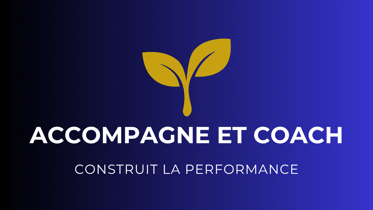 PLAYBOOK 12 — Coaching managérial & développement des compétences